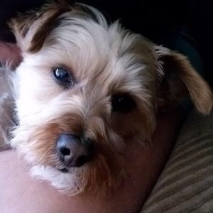 Meet your Posher, Terrie